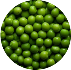 Green Peas
