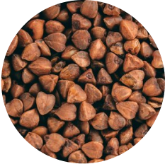 Buckwheat